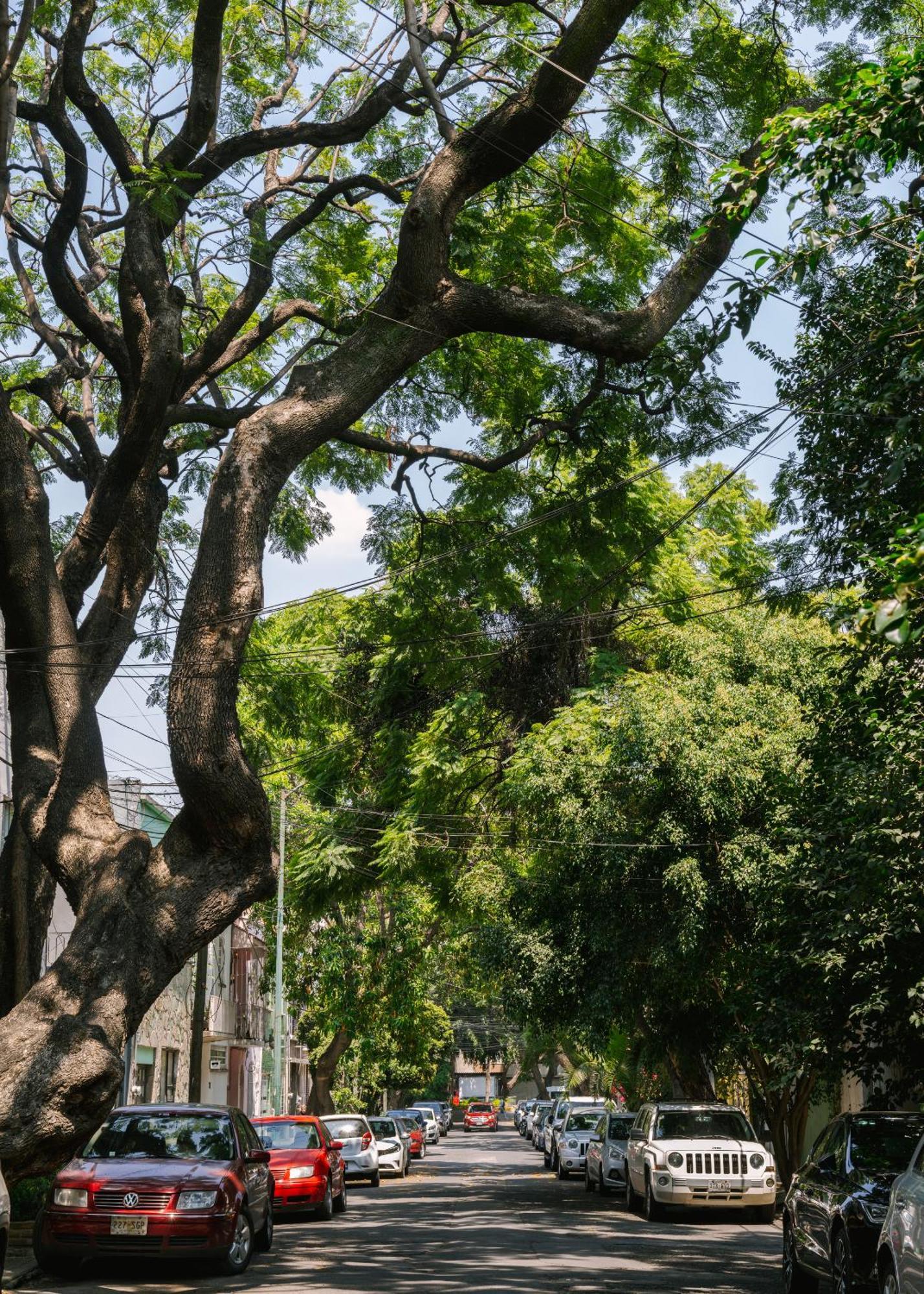 Sonder Miravalle 墨西哥城 外观 照片